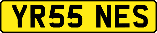 YR55NES