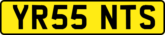 YR55NTS