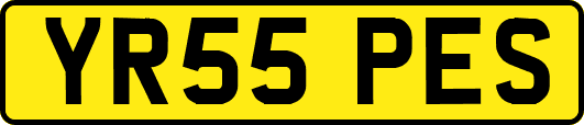YR55PES