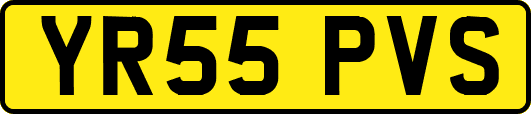 YR55PVS