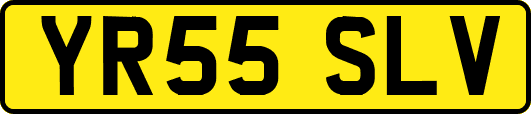 YR55SLV