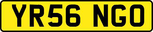 YR56NGO