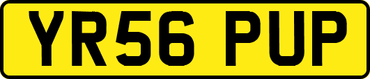 YR56PUP