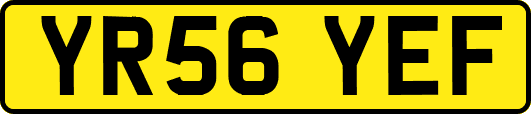 YR56YEF