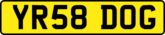 YR58DOG