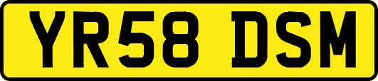 YR58DSM