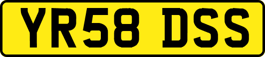YR58DSS