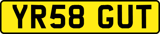 YR58GUT