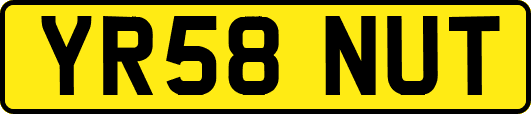 YR58NUT
