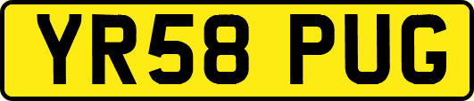 YR58PUG