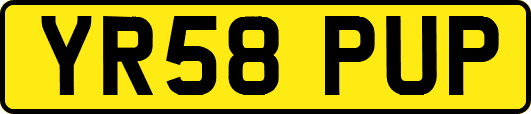 YR58PUP