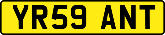 YR59ANT