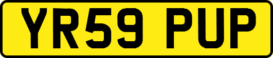 YR59PUP