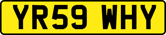 YR59WHY