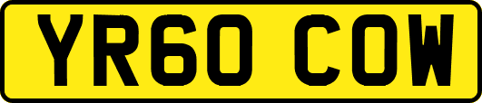 YR60COW