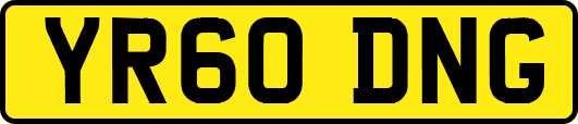 YR60DNG