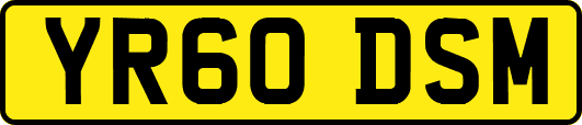 YR60DSM