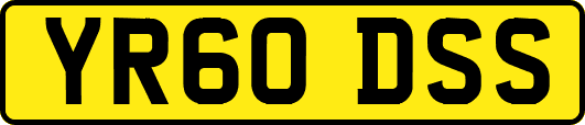 YR60DSS