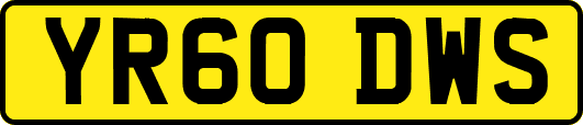 YR60DWS