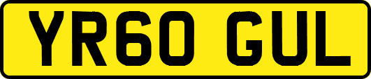 YR60GUL