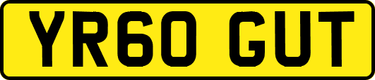 YR60GUT