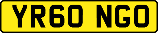 YR60NGO