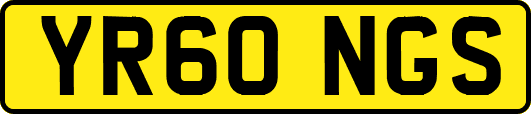 YR60NGS