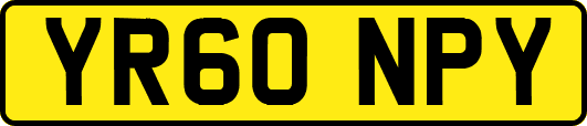 YR60NPY