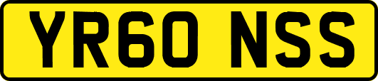 YR60NSS