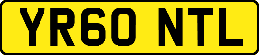 YR60NTL