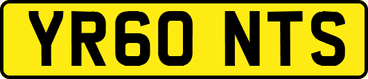 YR60NTS