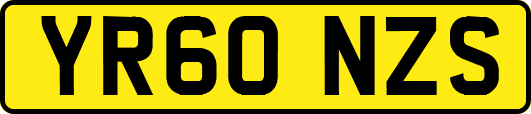 YR60NZS