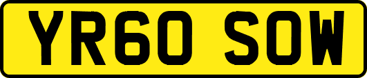 YR60SOW