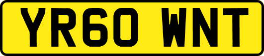 YR60WNT