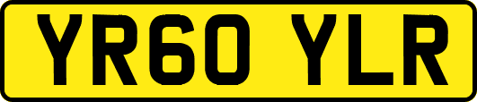 YR60YLR