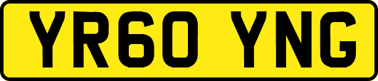 YR60YNG