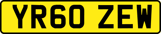 YR60ZEW