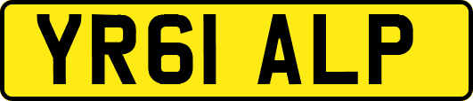 YR61ALP