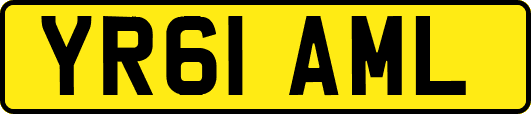 YR61AML