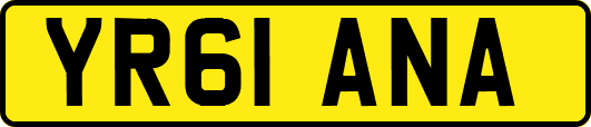 YR61ANA