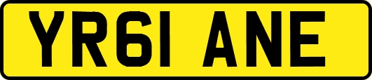 YR61ANE