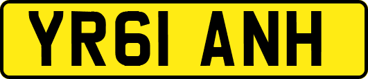 YR61ANH