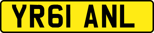 YR61ANL