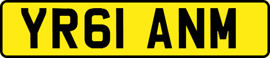 YR61ANM