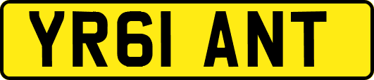 YR61ANT