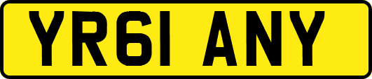 YR61ANY