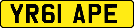YR61APE