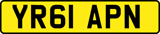 YR61APN