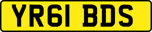 YR61BDS