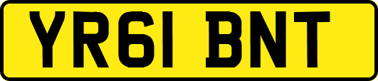 YR61BNT